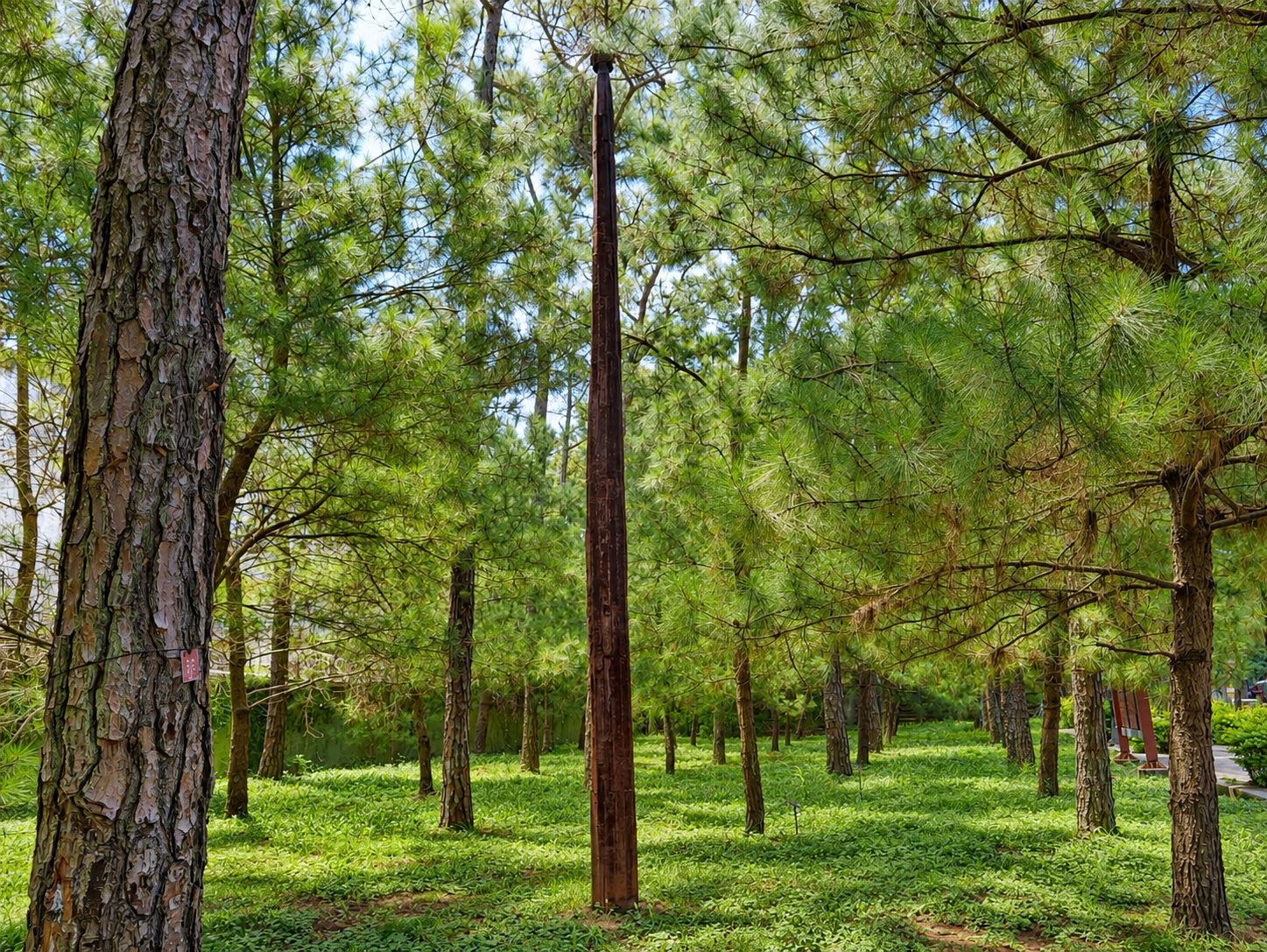 Listening to the Pine Wind (3).png